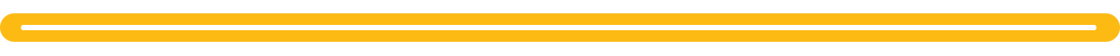 APS_WeeklyUpdate_EmailDividers_YellowBar